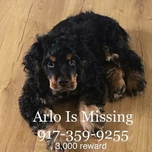 Meet your Posher, Anthony